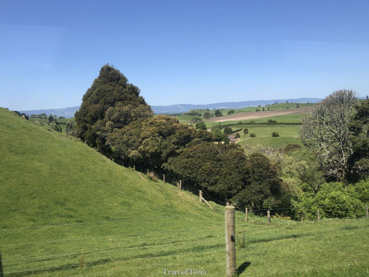 Matamata: dé ideale locatie voor Hobbiton