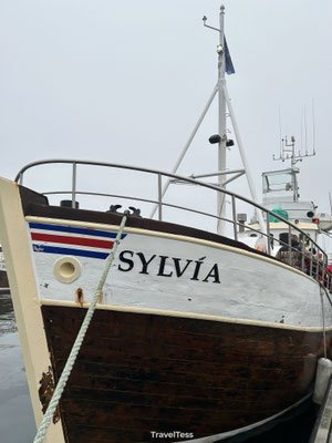Walvis boot