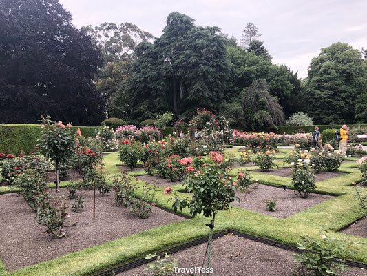 Botanische tuin Christchurch