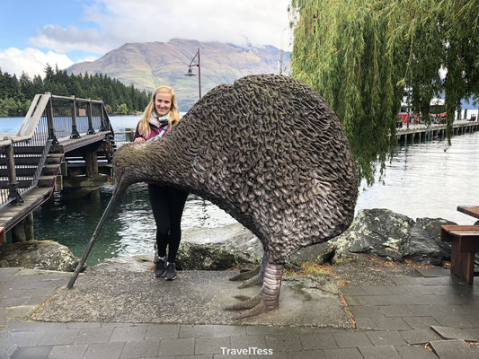 Kiwi beeld Queenstown