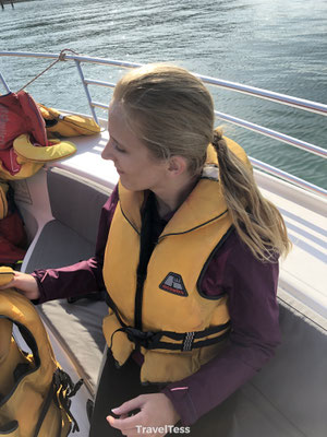 Parasailen Paihia