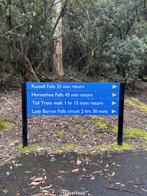 Wandelingen Mount Field
