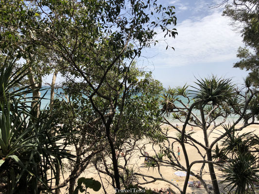 Noosa