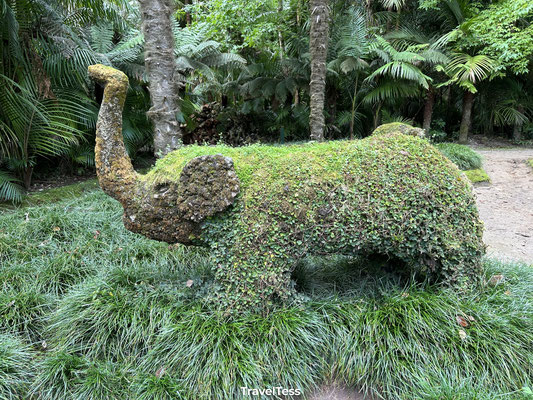 Parque Terra Nostra