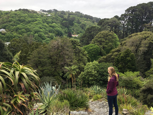 Wellington botanische tuin