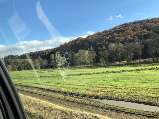 Autorit naar de Duitse Eifel