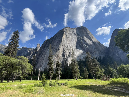 El Capitan Meadow View