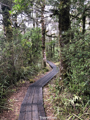 Hike  Tongariro National Park