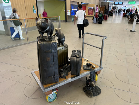 Kunst Hobart Airport