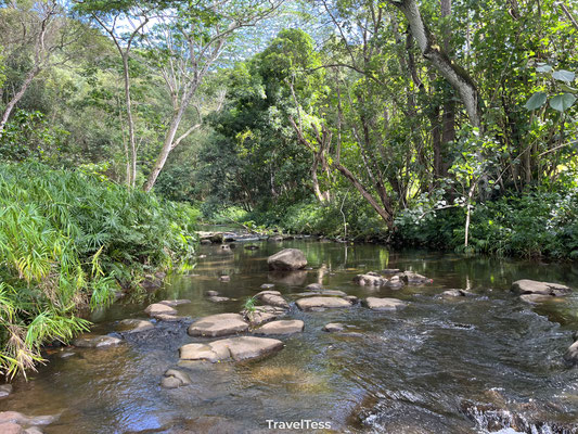 Rivier bij Ho'opi'i Falls