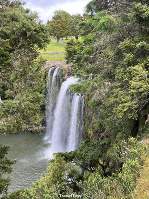 Whangarei Falls