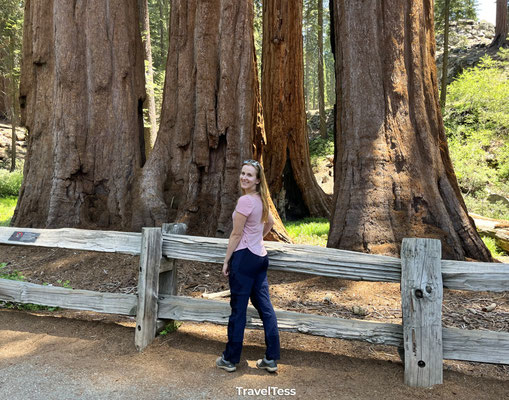 Kings Canyon National Park