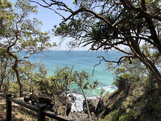 Noosa Dolphin Point Lookout