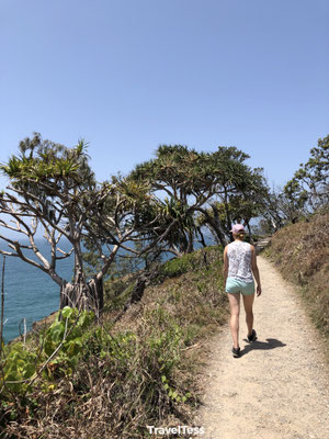 Noosa Beach Walk