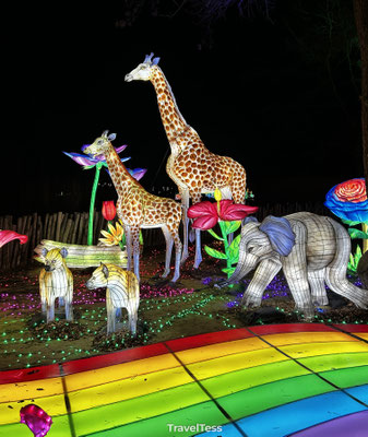 Light Safari Beekse Bergen