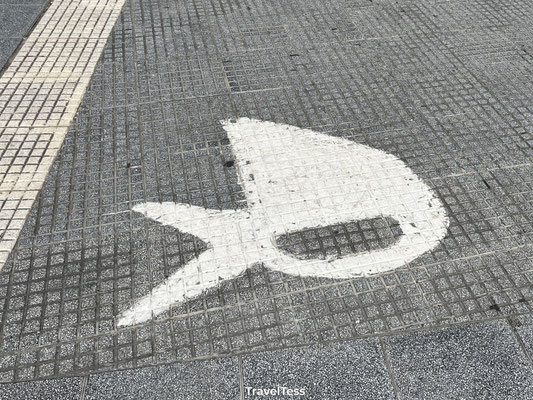 Witte hoofddoeken van de Dwaze Moeders