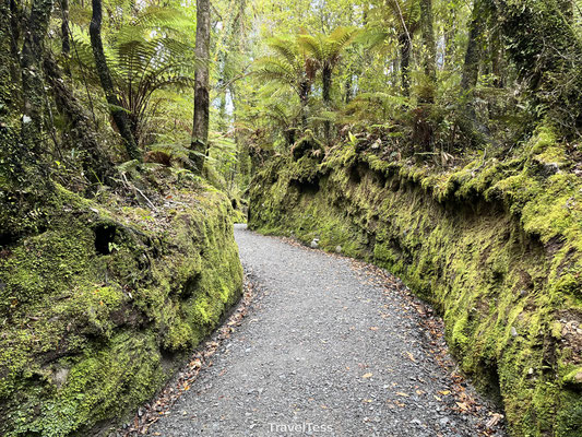 Wandelpad naar uitzichtpunten Fox Glacier
