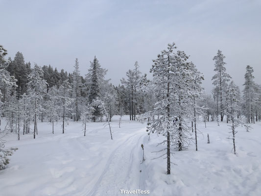 Winter landschap Finland