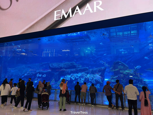 Groot aquarium in Dubai Mall