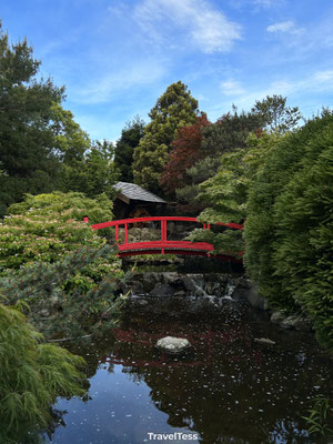 Royal Tasmanian Botanical Gardens