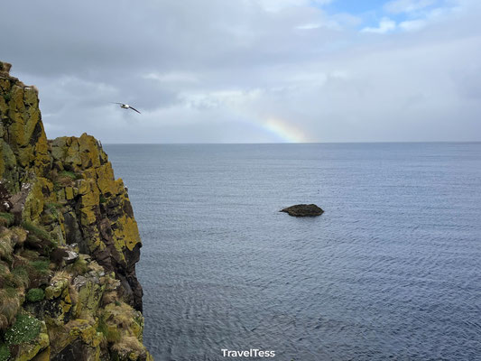 Borgarfjarðarhöfn