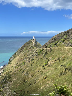 Vuurtoren bij Nugget Point