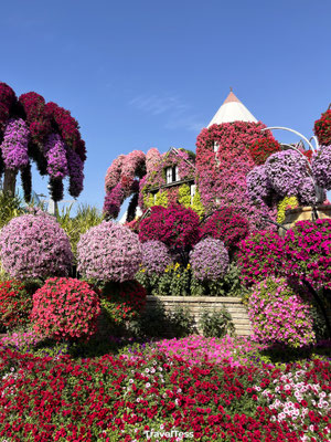 Miracle Garden