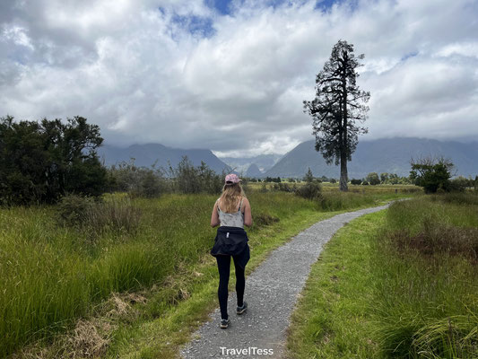 Lake Matheson Walk