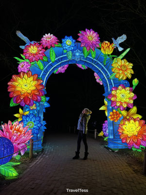 Light Safari Beekse Bergen