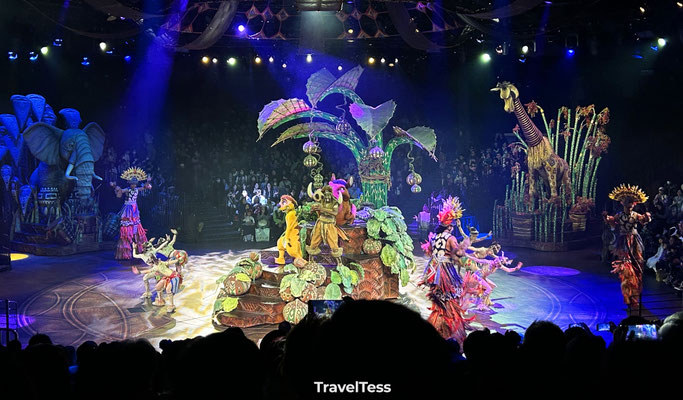 Lion King theatershow