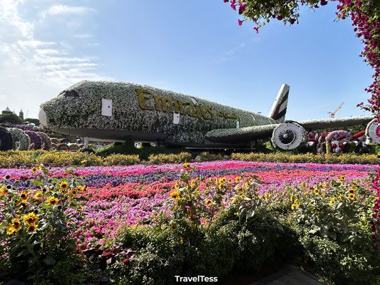 Miracle Garden