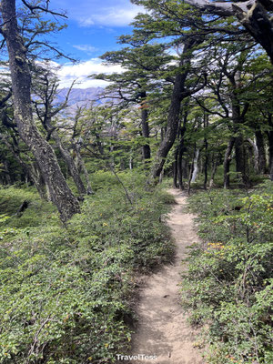 Wandelpad naar Loma del Pliegue