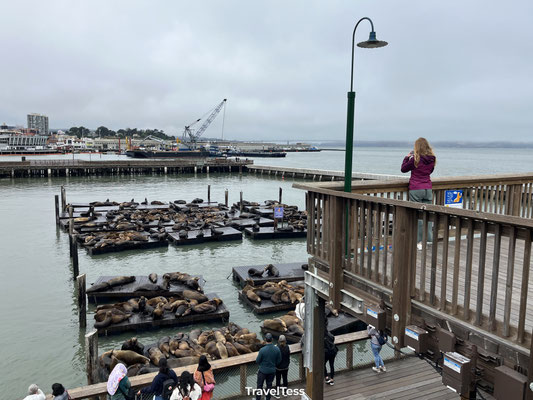 Fisherman's Wharf