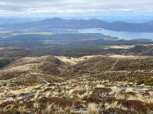 Ketetahi Valley