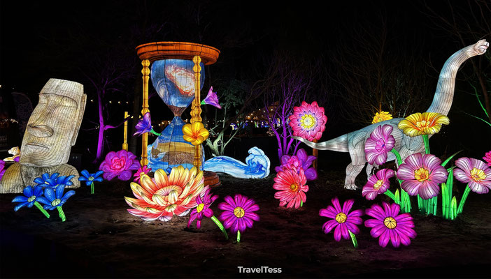 Light Safari