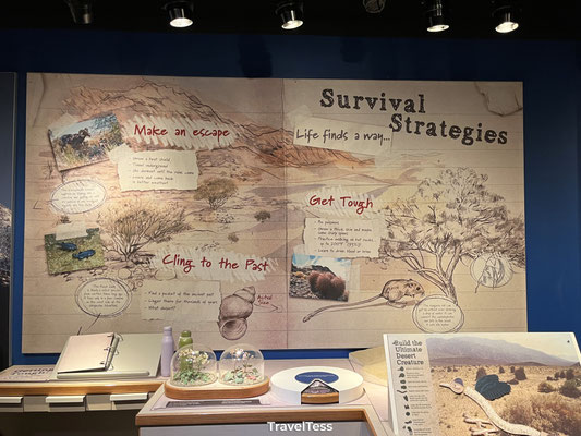 Death Valley Visitor Center