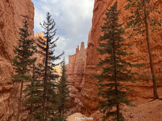 Navajo Loop Trail