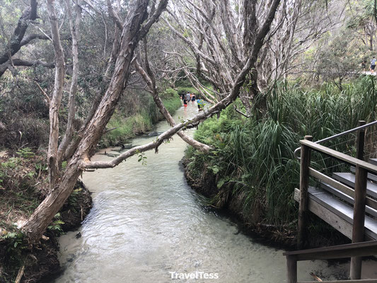 Eli's Creek Fraser Island