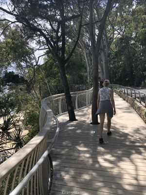 Noosa Coastal Walk