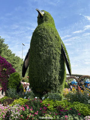 Miracle Gardens