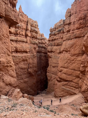 Navajo Loop Trail