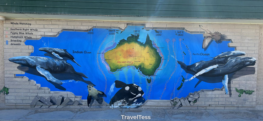 Wandschildering Australië