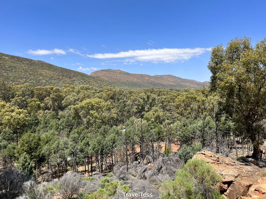 Flinders Ranges National Park