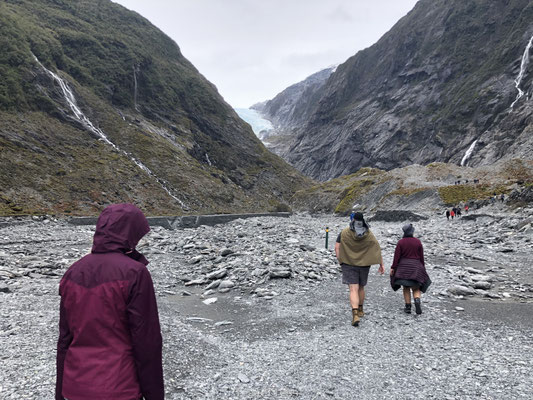 Franz Josef Valley Walk