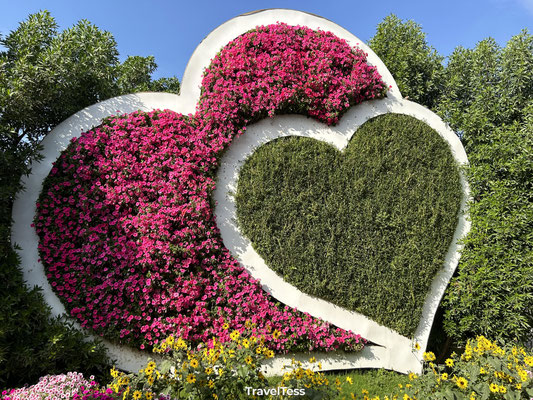 Miracle Garden