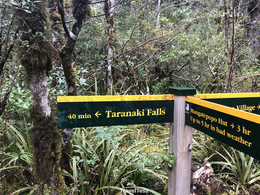 Hike naar Taranaki Falls