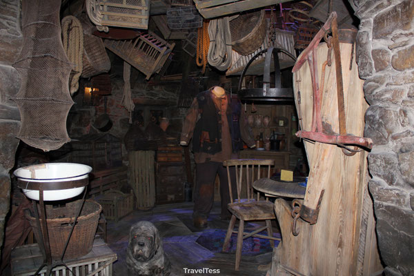 Hagrid's Hut