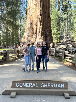 General Sherman Tree