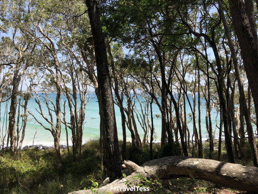 Parcours Noosa Beach Walk