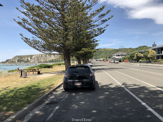 Kaikoura boulevard